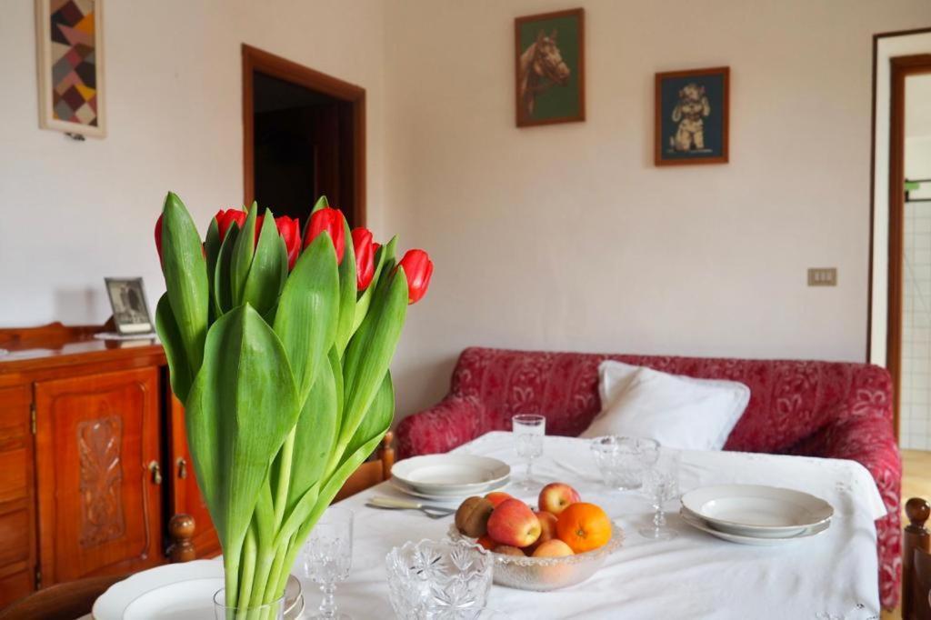 Apartamento Casa Volpe Magliano Alfieri Exterior foto
